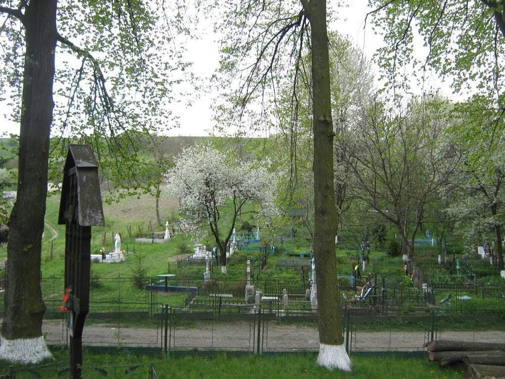 Cimitirul parohiei